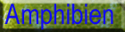 Amphibien