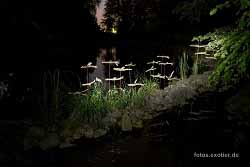 Kunstpelz Tierpark Hamm